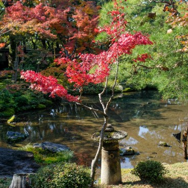 Jardin Murin-an à l'automne à Kyoto 3