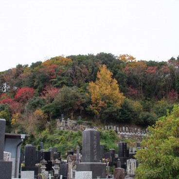 Numazu (péninsule d'Izu), vue sur le mont Kanuki à la fin de l'automne