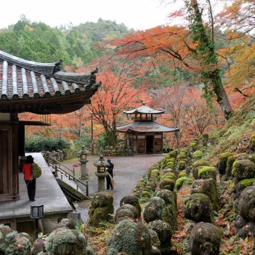 Otagi Nenbutsu-ji (Kyoto) en automne 2