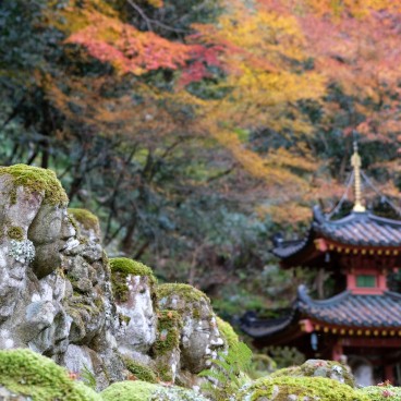 Otagi Nenbutsu-ji (Kyoto) en automne 3