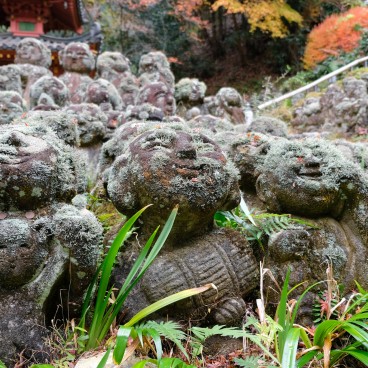 Otagi Nenbutsu-ji (Kyoto), statues Rakan 5