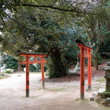 Shirahige Jinja, Portes torii dans l'enceinte du sanctuaire