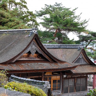 Shirahige Jinja, Pavillon principal Honden 3