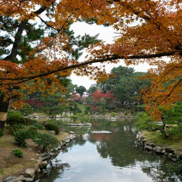 Beaux érables en automne au jardin Shukkei-en