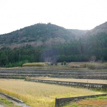 Rizières à Takashima