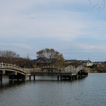 Plan d’eau Otomeganoike à Takashima 2