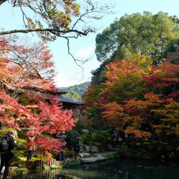 Tenju-an (Kyoto), vue sur le jardin en automne