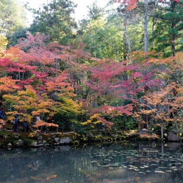Tenju-an (Kyoto), vue sur le jardin en automne 3