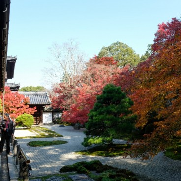 Tenju-an (Kyoto), jardin karesansui en automne