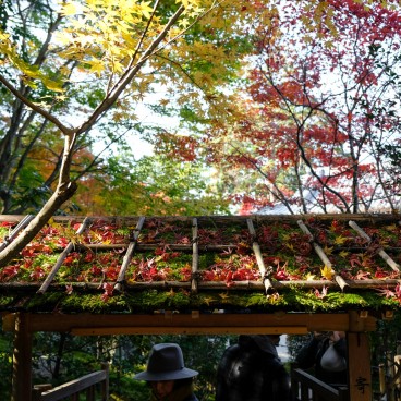 Tenju-an (Kyoto), porche d'entrée du jardin du sud