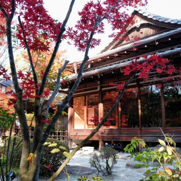 Tenju-an (Kyoto), vue sur le jardin et le pavillon 2