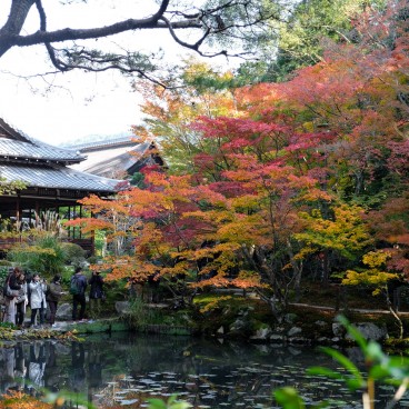 Tenju-an (Kyoto), vue sur le jardin en automne 2