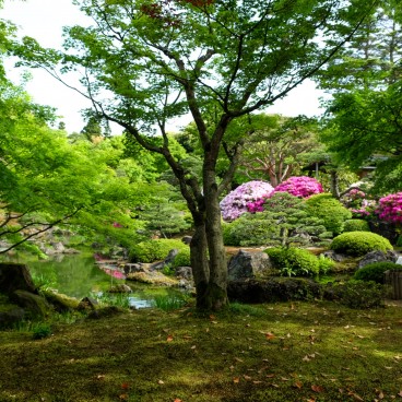 Jardin Yushi-en 2
