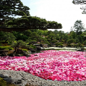 Yushi-en, Arrangement floral de pivoines 3