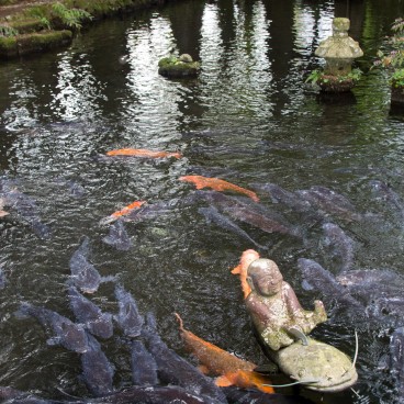 Choan-ji (Hakone), Rakan chevauchant un poisson chat