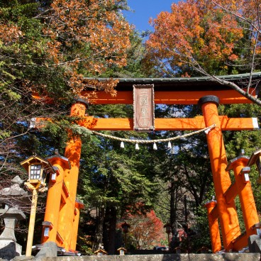Arakurayama Sengen, Torii marquant l'entrée du sanctuaire