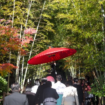 Mariage shinto au Kinomiya-jinja