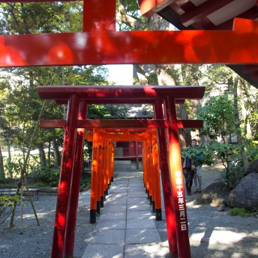 Portes torii au Kinomiya-jinja