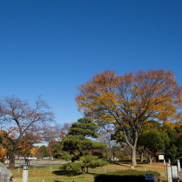 Parc Chateau Sunpu 4