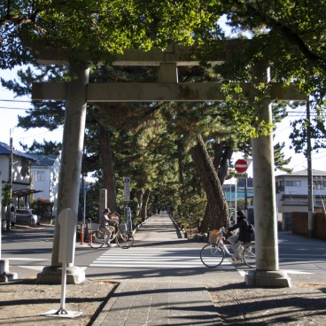 Miho no Matsubara (Shizuoka), Chemin pédestre Kami no Michi