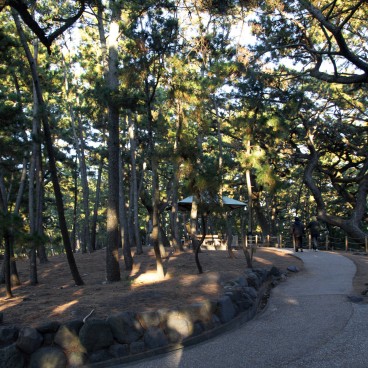 Miho no Matsubara (Shizuoka), Forêt de pins au bord de la plage 2