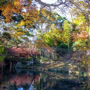 Parc du château de Hamamatsu (Shizuoka) 2