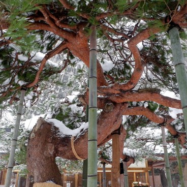 Chusonji à Hiraizumi 10