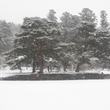 Motsuji à Hiraizumi 2