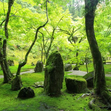 Dazaifu (Kyushu), jardin sec Karesansui du temple Komyozen-ji 2