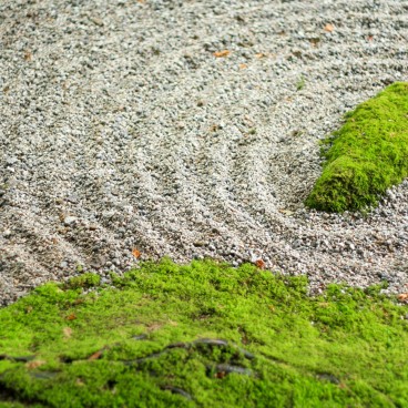 Dazaifu (Kyushu), jardin sec Karesansui du temple Komyozen-ji 3