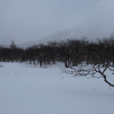 Senjogahara (Nikko), le marais en hiver 2