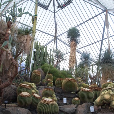 Zoo Shaboten d'Izu, Serre à cactus