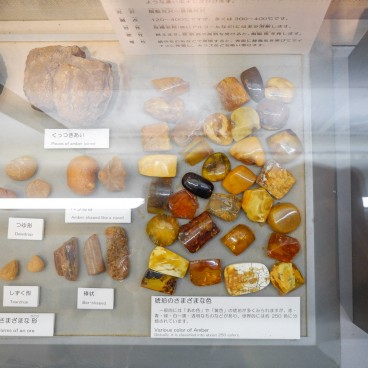 Exposition du Musée de l'Ambre de Kuji 3