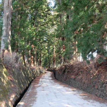 Nikko, Parc Suginamiki 2