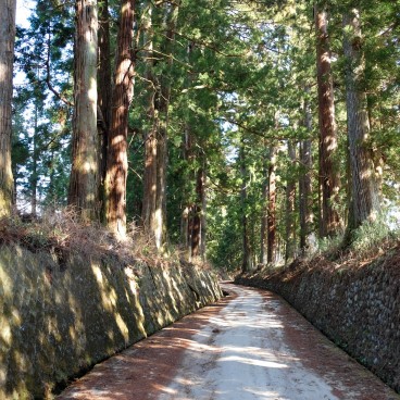 Nikko, Parc Suginamiki
