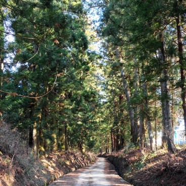 Nikko, Parc Suginamiki 3
