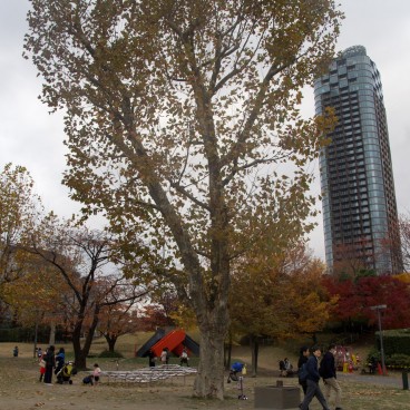 Tokyo Midtown, parc Hinokicho en automne 2