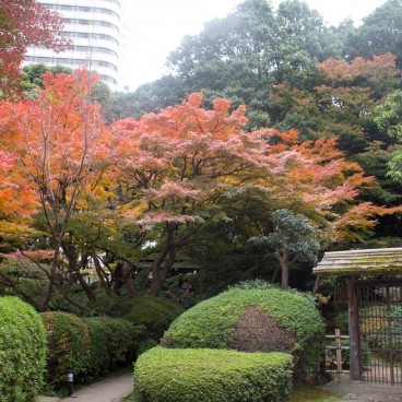 Jardin japonais à l'hotel New Otani Tokyo 3