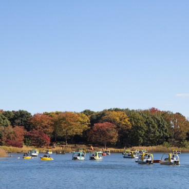 Lac avec pédalo au parc Memorial Showa