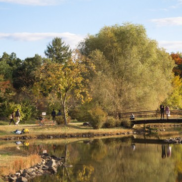 Parc Mémorial Showa (Tokyo)