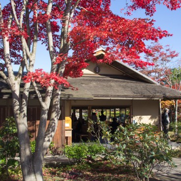 Jardin japonais au parc Memorial Showa