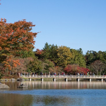Jardin japonais au parc Memorial Showa 3