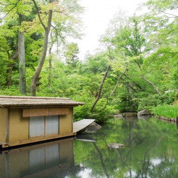 Musée Nezu (Tokyo), plan d'eau du jardin japonais