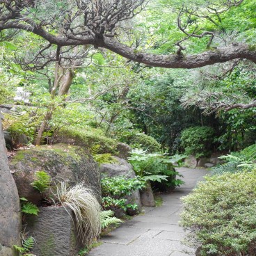 Musée Nezu (Tokyo), visite du jardin japonais 3