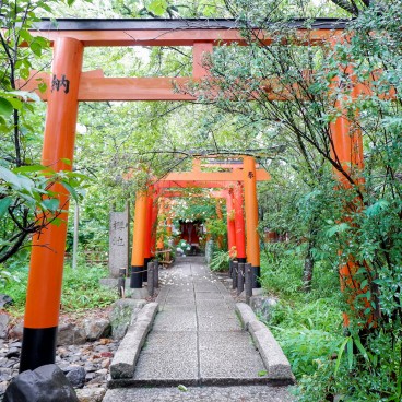 Portes torii du Hirano-jinja (Kyoto)