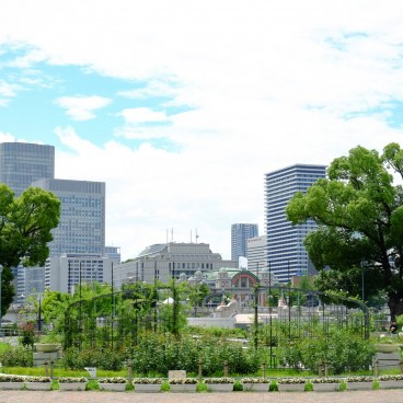 Nakanoshima 6