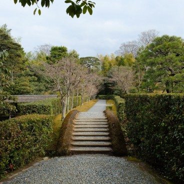 Allée impériale à la villa Katsura de Kyoto
