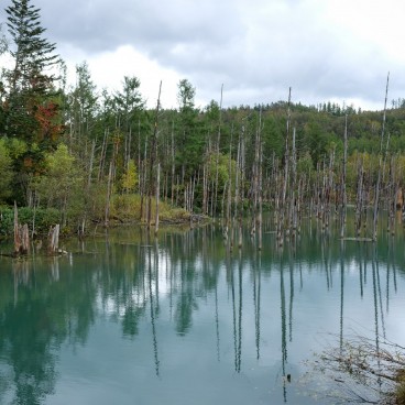 Biei (Hokkaido), Lac Aoi-ike aux eaux bleues 4