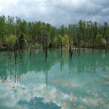 Biei (Hokkaido), Lac Aoi-ike aux eaux bleues