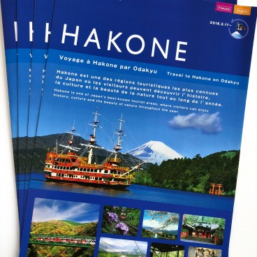 Hakone Free Pass 1